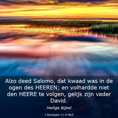 Picture 03 - 1 Koningen 11:6 NLD - Alzo deed Salomo, dat kwaad was in de ogen des - Bible Verse Picture