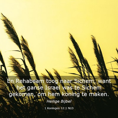 Picture 03 - 1 Koningen 12:1 NLD - En Rehabeam toog naar Sichem, want het ganse - Bible Verse Picture