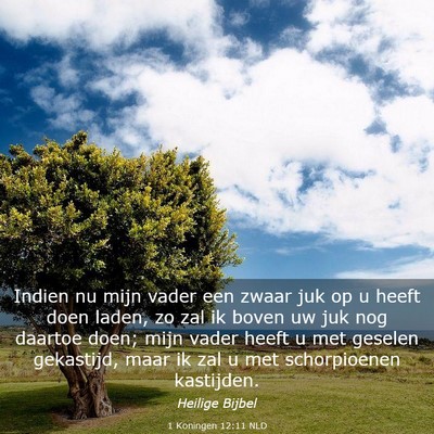 Picture 03 - 1 Koningen 12:11 NLD - Indien nu mijn vader een zwaar juk op u heeft - Bible Verse Picture