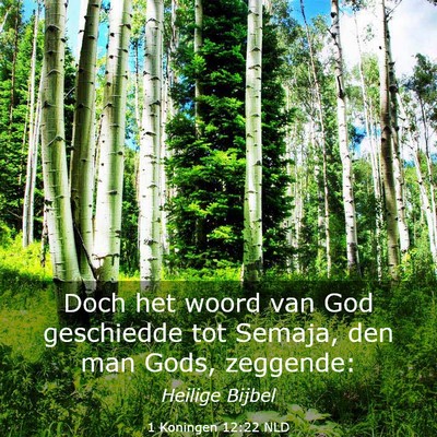 Picture 03 - 1 Koningen 12:22 NLD - Doch het woord van God geschiedde tot Semaja, den - Bible Verse Picture