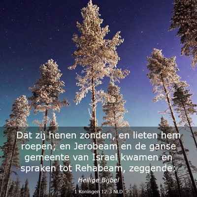 Picture 03 - 1 Koningen 12:3 NLD - Dat zij henen zonden, en lieten hem roepen; en - Bible Verse Picture
