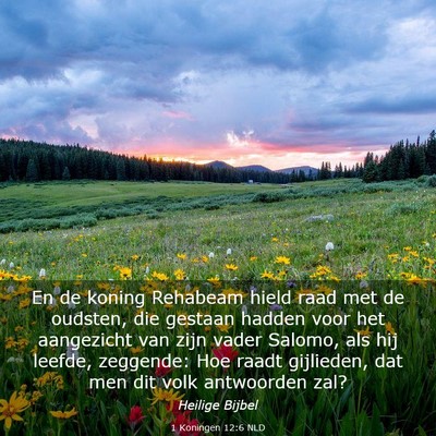 Picture 03 - 1 Koningen 12:6 NLD - En de koning Rehabeam hield raad met de oudsten, - Bible Verse Picture