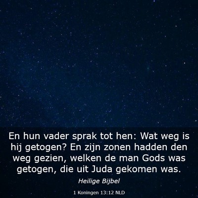 Picture 03 - 1 Koningen 13:12 NLD - En hun vader sprak tot hen: Wat weg is hij - Bible Verse Picture