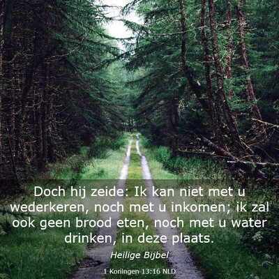 Picture 03 - 1 Koningen 13:16 NLD - Doch hij zeide: Ik kan niet met u wederkeren, - Bible Verse Picture