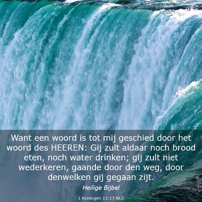 Picture 03 - 1 Koningen 13:17 NLD - Want een woord is tot mij geschied door het woord - Bible Verse Picture