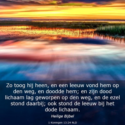 Picture 03 - 1 Koningen 13:24 NLD - Zo toog hij heen, en een leeuw vond hem op den - Bible Verse Picture