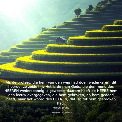Picture 03 - 1 Koningen 13:26 NLD - Als de profeet, die hem van den weg had doen - Bible Verse Picture