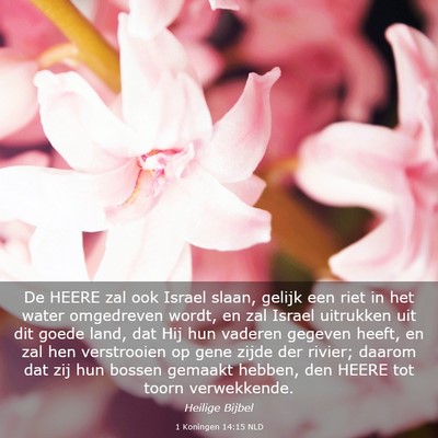 Picture 03 - 1 Koningen 14:15 NLD - De HEERE zal ook Israel slaan, gelijk een riet in - Bible Verse Picture