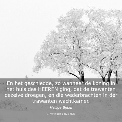 Picture 03 - 1 Koningen 14:28 NLD - En het geschiedde, zo wanneer de koning in het - Bible Verse Picture