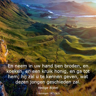 Picture 03 - 1 Koningen 14:3 NLD - En neem in uw hand tien broden, en koeken, en een - Bible Verse Picture