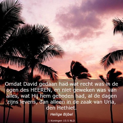 Picture 03 - 1 Koningen 15:5 NLD - Omdat David gedaan had wat recht was in de ogen - Bible Verse Picture