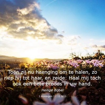 Picture 03 - 1 Koningen 17:11 NLD - Toen zij nu heenging om te halen, zo riep hij tot - Bible Verse Picture