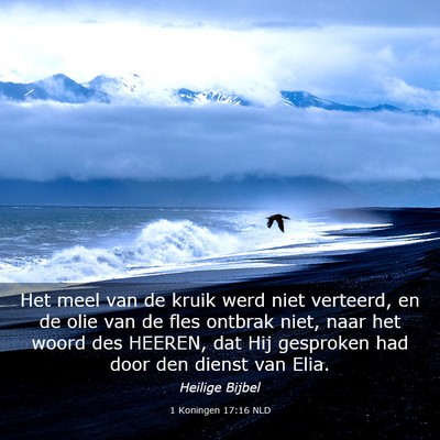 Picture 03 - 1 Koningen 17:16 NLD - Het meel van de kruik werd niet verteerd, en de - Bible Verse Picture