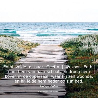 Picture 03 - 1 Koningen 17:19 NLD - En hij zeide tot haar: Geef mij uw zoon. En hij - Bible Verse Picture