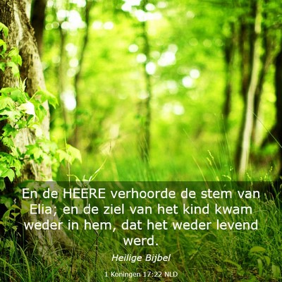 Picture 03 - 1 Koningen 17:22 NLD - En de HEERE verhoorde de stem van Elia; en de - Bible Verse Picture