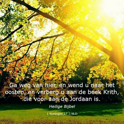 Picture 03 - 1 Koningen 17:3 NLD - Ga weg van hier, en wend u naar het oosten, en - Bible Verse Picture