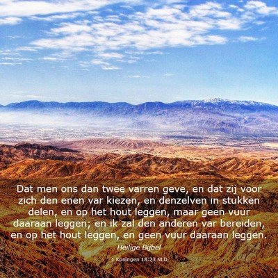 Picture 03 - 1 Koningen 18:23 NLD - Dat men ons dan twee varren geve, en dat zij voor - Bible Verse Picture