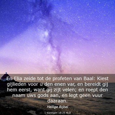 Picture 03 - 1 Koningen 18:25 NLD - En Elia zeide tot de profeten van Baal: Kiest - Bible Verse Picture