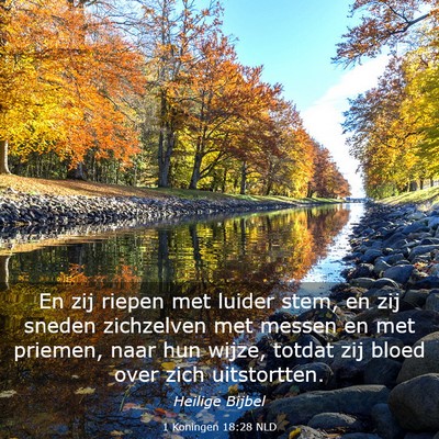 Picture 03 - 1 Koningen 18:28 NLD - En zij riepen met luider stem, en zij sneden - Bible Verse Picture