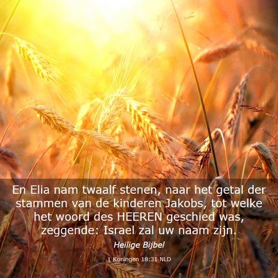Picture 03 - 1 Koningen 18:31 NLD - En Elia nam twaalf stenen, naar het getal der - Bible Verse Picture
