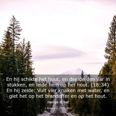 Picture 03 - 1 Koningen 18:33 NLD - En hij schikte het hout, en deelde den var in - Bible Verse Picture