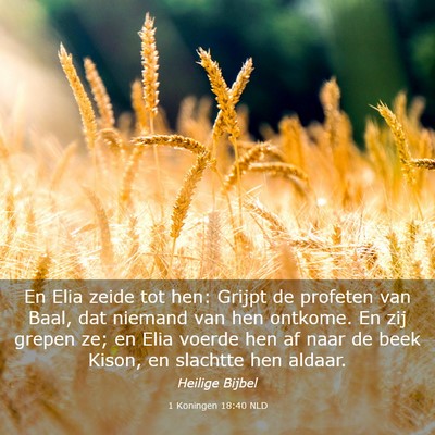 Picture 03 - 1 Koningen 18:40 NLD - En Elia zeide tot hen: Grijpt de profeten van - Bible Verse Picture