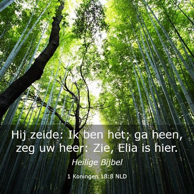 Picture 03 - 1 Koningen 18:8 NLD - Hij zeide: Ik ben het; ga heen, zeg uw heer: Zie, - Bible Verse Picture