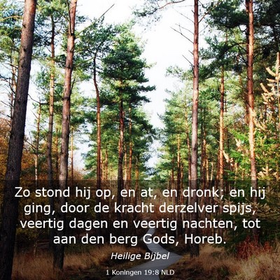 Picture 03 - 1 Koningen 19:8 NLD - Zo stond hij op, en at, en dronk; en hij ging, - Bible Verse Picture