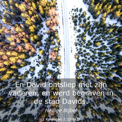 Picture 03 - 1 Koningen 2:10 NLD - En David ontsliep met zijn vaderen, en werd - Bible Verse Picture