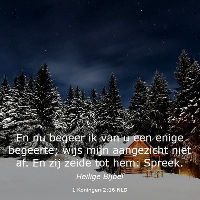 Picture 03 - 1 Koningen 2:16 NLD - En nu begeer ik van u een enige begeerte; wijs - Bible Verse Picture