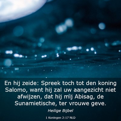 Picture 03 - 1 Koningen 2:17 NLD - En hij zeide: Spreek toch tot den koning Salomo, - Bible Verse Picture