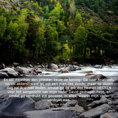 Picture 03 - 1 Koningen 2:26 NLD - En tot Abjathar, den priester, zeide de koning: - Bible Verse Picture