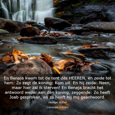 Picture 03 - 1 Koningen 2:30 NLD - En Benaja kwam tot de tent des HEEREN, en zeide - Bible Verse Picture