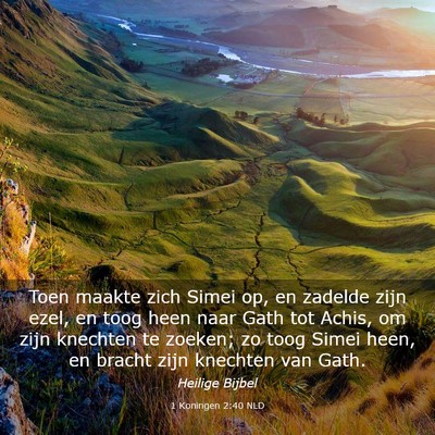 Picture 03 - 1 Koningen 2:40 NLD - Toen maakte zich Simei op, en zadelde zijn ezel, - Bible Verse Picture