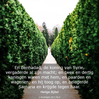 Picture 03 - 1 Koningen 20:1 NLD - En Benhadad, de koning van Syrie, vergaderde al - Bible Verse Picture