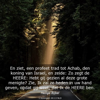 Picture 03 - 1 Koningen 20:13 NLD - En ziet, een profeet trad tot Achab, den koning - Bible Verse Picture