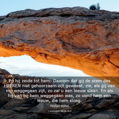 Picture 03 - 1 Koningen 20:36 NLD - En hij zeide tot hem: Daarom dat gij de stem des - Bible Verse Picture