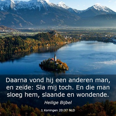 Picture 03 - 1 Koningen 20:37 NLD - Daarna vond hij een anderen man, en zeide: Sla - Bible Verse Picture