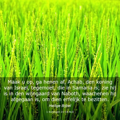 Picture 03 - 1 Koningen 21:18 NLD - Maak u op, ga henen af, Achab, den koning van - Bible Verse Picture