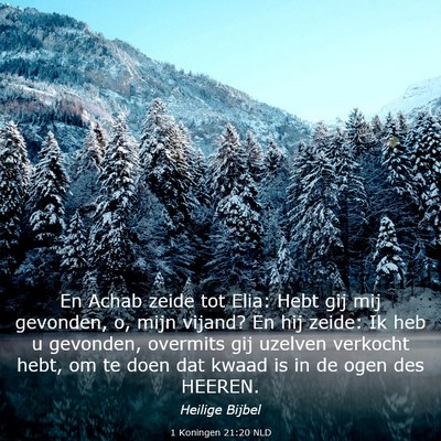 Picture 03 - 1 Koningen 21:20 NLD - En Achab zeide tot Elia: Hebt gij mij gevonden, - Bible Verse Picture