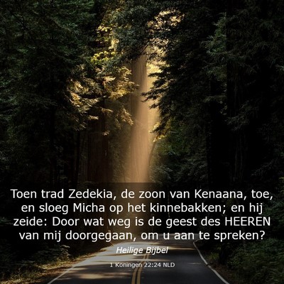 Picture 03 - 1 Koningen 22:24 NLD - Toen trad Zedekia, de zoon van Kenaana, toe, en - Bible Verse Picture