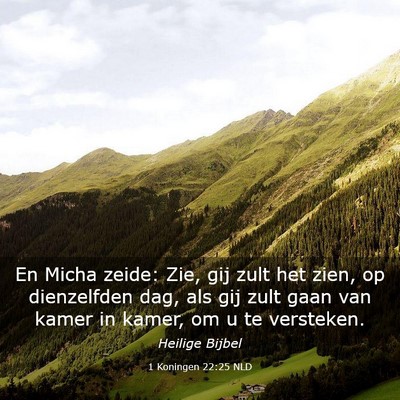 Picture 03 - 1 Koningen 22:25 NLD - En Micha zeide: Zie, gij zult het zien, op - Bible Verse Picture