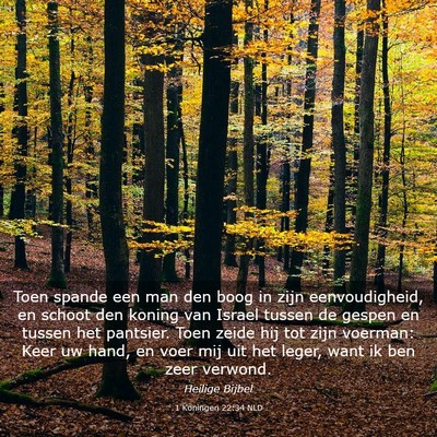 Picture 03 - 1 Koningen 22:34 NLD - Toen spande een man den boog in zijn - Bible Verse Picture