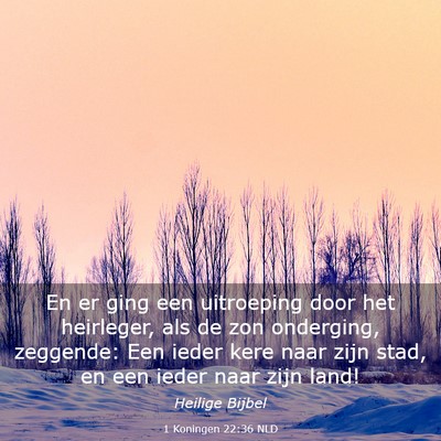 Picture 03 - 1 Koningen 22:36 NLD - En er ging een uitroeping door het heirleger, als - Bible Verse Picture