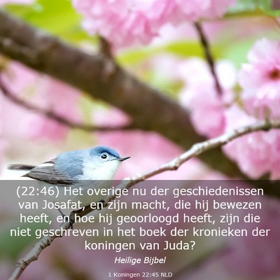 Picture 03 - 1 Koningen 22:45 NLD - (22:46) Het overige nu der geschiedenissen van - Bible Verse Picture