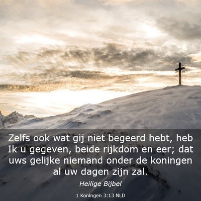 Picture 03 - 1 Koningen 3:13 NLD - Zelfs ook wat gij niet begeerd hebt, heb Ik u - Bible Verse Picture