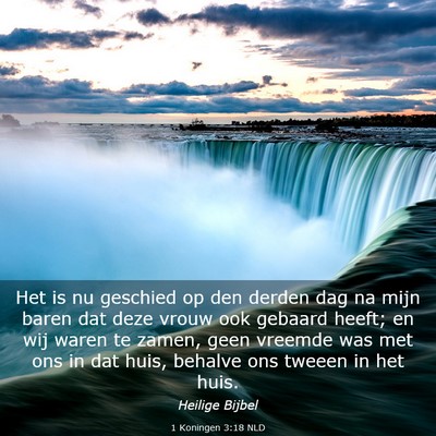 Picture 03 - 1 Koningen 3:18 NLD - Het is nu geschied op den derden dag na mijn - Bible Verse Picture