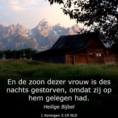 Picture 03 - 1 Koningen 3:19 NLD - En de zoon dezer vrouw is des nachts gestorven, - Bible Verse Picture