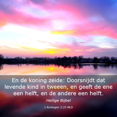 Picture 03 - 1 Koningen 3:25 NLD - En de koning zeide: Doorsnijdt dat levende kind - Bible Verse Picture