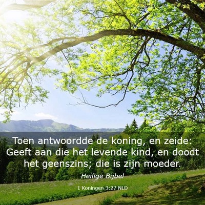 Picture 03 - 1 Koningen 3:27 NLD - Toen antwoordde de koning, en zeide: Geeft aan - Bible Verse Picture